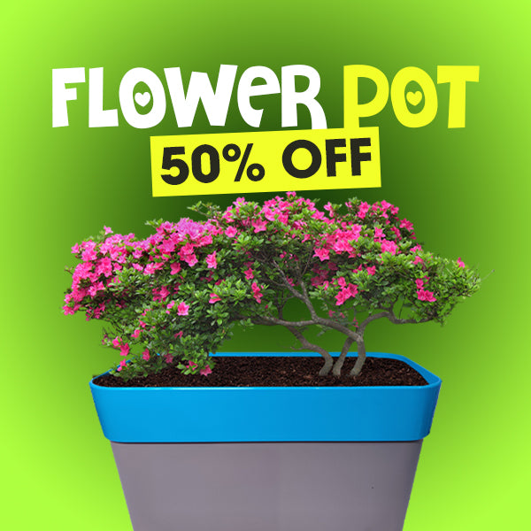 🌻 Plant Pot